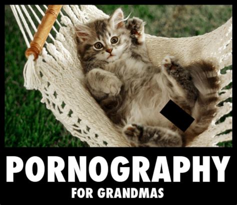 porno cat|Cat Porn Videos 